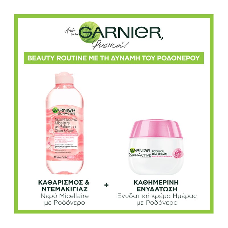 Garnier Rose Water Bundle (Micellaire Rose Water 400ml + Botanical Day Cream 50ml)