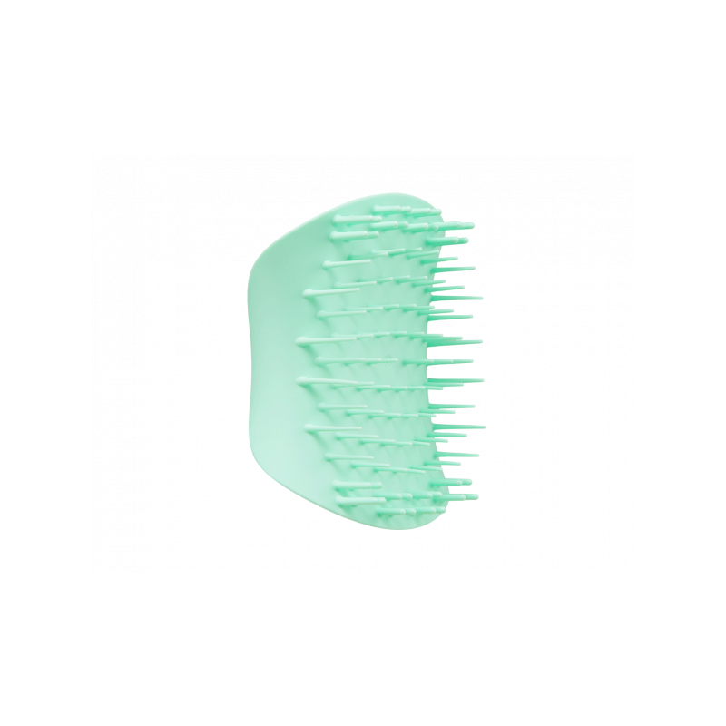 Tangle Teezer Scalp Brush Mint Green