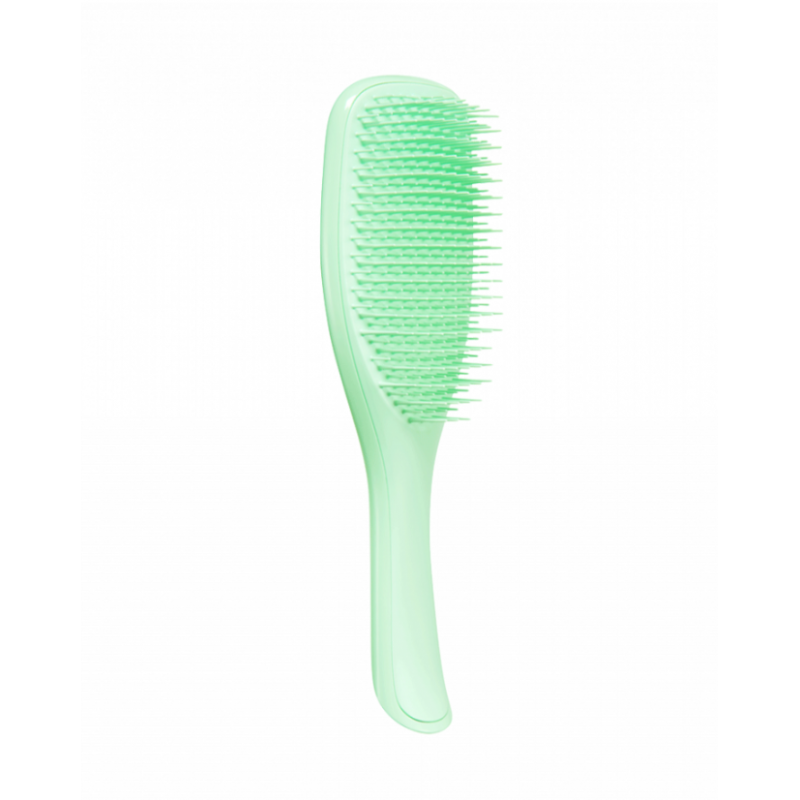 Tangle Teezer Wet Detangler Neon Mint