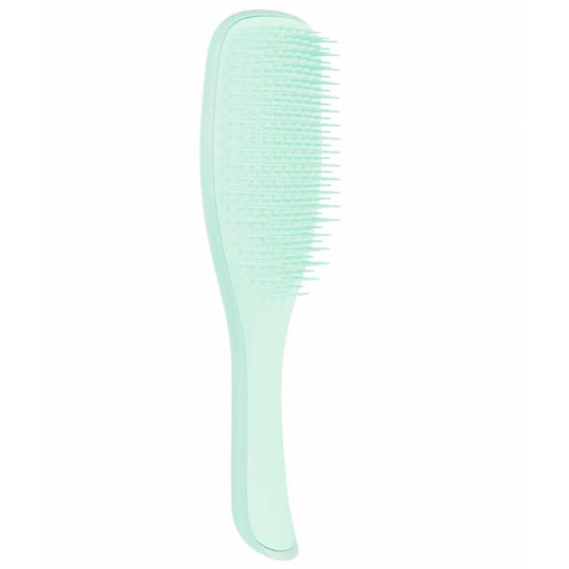 Tangle Teezer Wet Detangler Fine & Fragile Mint